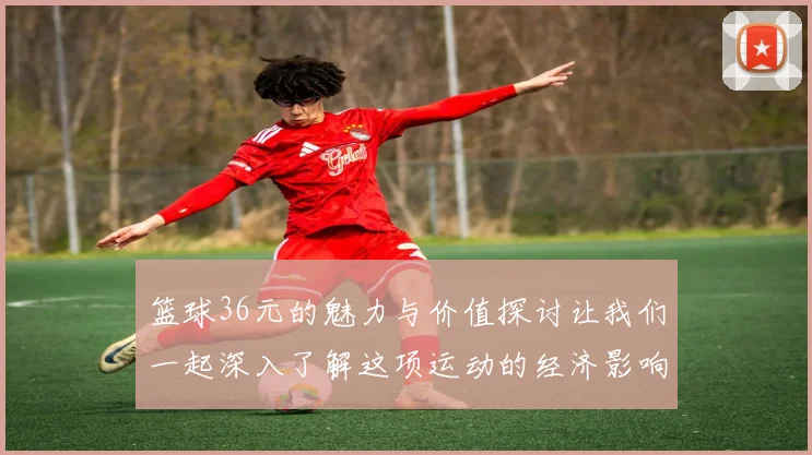篮球36元的魅力与价值探讨让我们一起深入了解这项运动的经济影响与文化意义