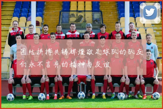 团结拼搏共铸辉煌敬足球队的队友们永不言弃的精神与友谊