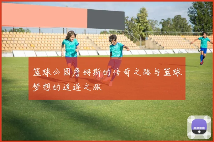 篮球公园詹姆斯的传奇之路与篮球梦想的追逐之旅