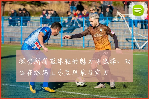 探索所有篮球鞋的魅力与选择，助你在球场上尽显风采与实力