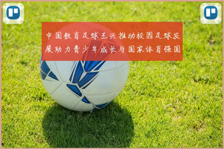 中国教育足球王兴推动校园足球发展助力青少年成长与国家体育强国梦